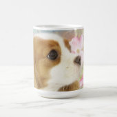 Cavalier King Charles Spaniel Mok met Lente Bloeme (Center)