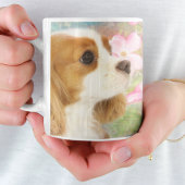 Cavalier King Charles Spaniel Mok met Lente Bloeme