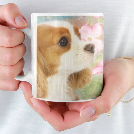 Cavalier King Charles Spaniel Mok met Lente Bloeme