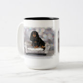 Cavalier King Charles Spaniel - Mokken (Voorkant links)