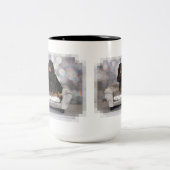 Cavalier King Charles Spaniel - Mokken (Center)