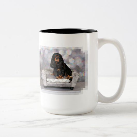 Cavalier King Charles Spaniel - Mokken (Rechts)