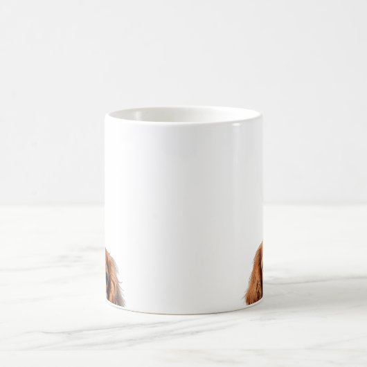 Cavalier King Charles Spaniel Mokken (Center)