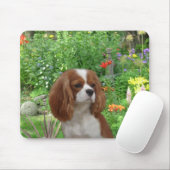 Cavalier King Charles Spaniel Mousepad Muismat (Met muis)