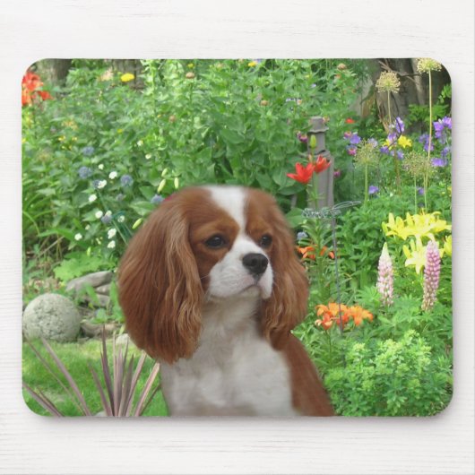 Cavalier King Charles Spaniel Mousepad Muismat (Voorkant)