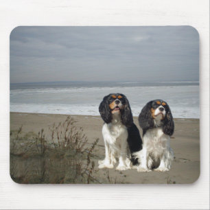 Cavalier King Charles Spaniel Mousepad Muismat