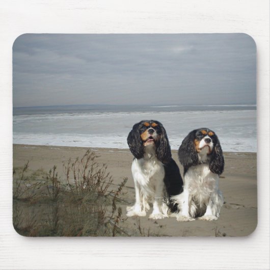 Cavalier King Charles Spaniel Mousepad Muismat (Voorkant)