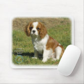 Cavalier King Charles Spaniel Muismat (Met muis)
