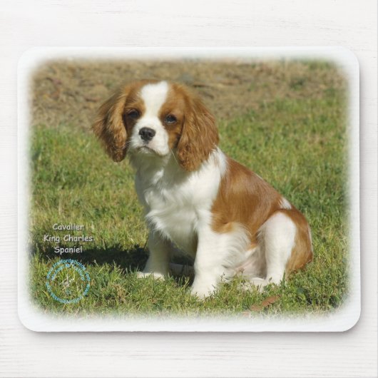 Cavalier King Charles Spaniel Muismat (Voorkant)