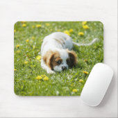 Cavalier King Charles Spaniel Muismat (Met muis)