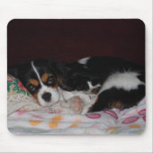 Cavalier King Charles Spaniel Muismat (Voorkant)