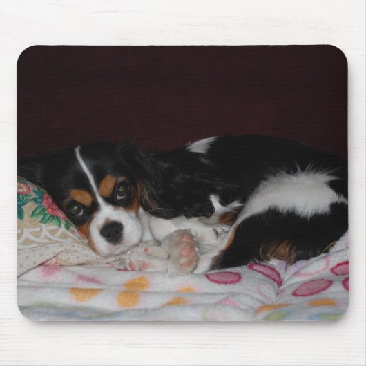 Cavalier King Charles Spaniel Muismat (Voorkant)