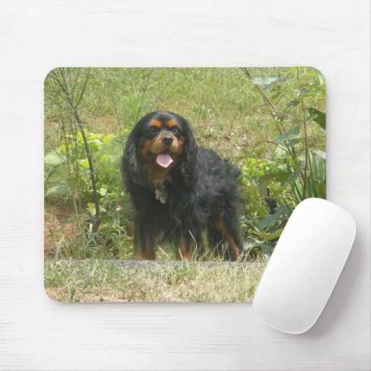 Cavalier King Charles Spaniel Muismat (Met muis)