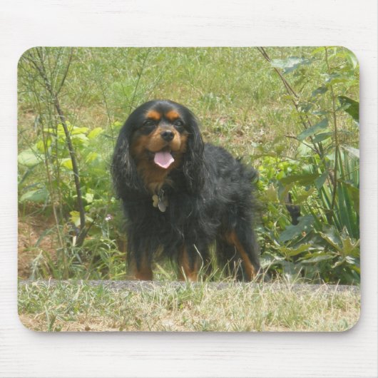Cavalier King Charles Spaniel Muismat (Voorkant)
