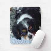 Cavalier King Charles Spaniel Muismat (Met muis)