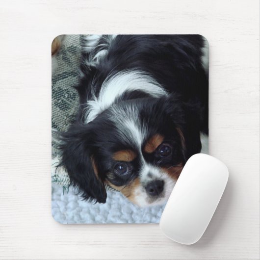 Cavalier King Charles Spaniel Muismat (Met muis)