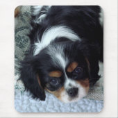 Cavalier King Charles Spaniel Muismat (Voorkant)