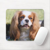 Cavalier King Charles Spaniel Muismat (Met muis)