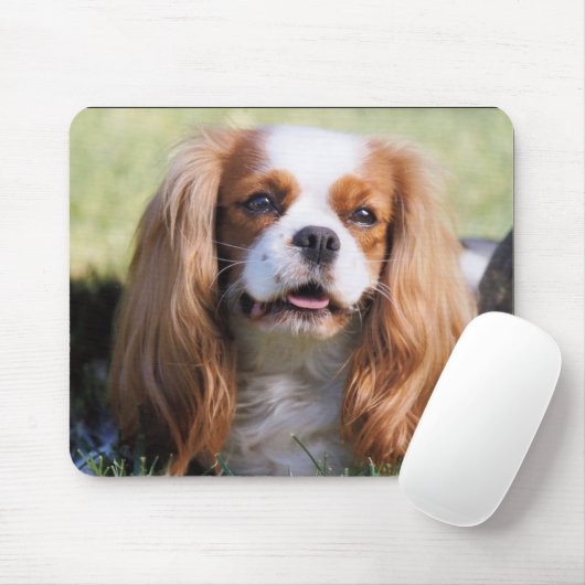 Cavalier King Charles Spaniel Muismat (Met muis)