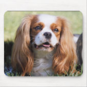Cavalier King Charles Spaniel Muismat (Voorkant)
