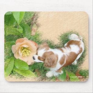 Cavalier King Charles Spaniel Muismat