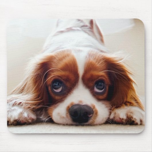 Cavalier King Charles Spaniel Muismat (Voorkant)