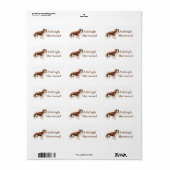 Cavalier King Charles Spaniel Naam Label (Full Sheet)