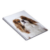 Cavalier King Charles Spaniel Notitieboek (Rechterzijde)