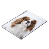 Cavalier King Charles Spaniel Notitieboek (Linkerzijde)