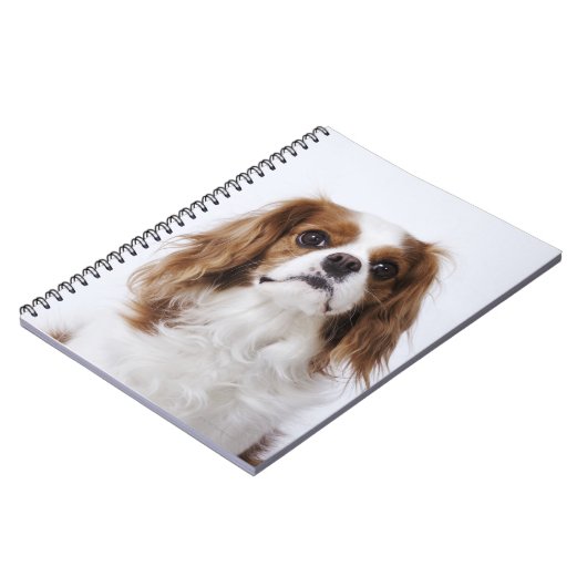 Cavalier King Charles Spaniel Notitieboek (Linkerzijde)