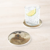 Cavalier King Charles Spaniel Onderzetters (Zijkant)