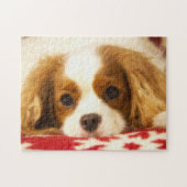 Cavalier King Charles Spaniel op Snowflake Blanket Legpuzzel (Horizontaal)