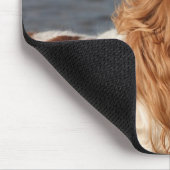 Cavalier King Charles Spaniel op strand muismat (Hoek)