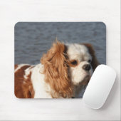 Cavalier King Charles Spaniel op strand muismat (Met muis)
