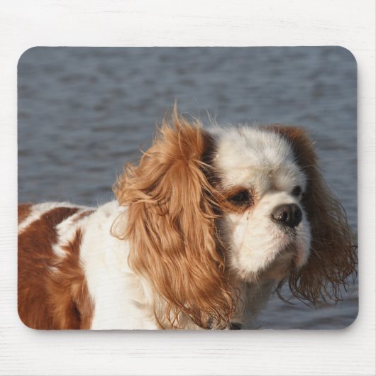 Cavalier King Charles Spaniel op strand muismat (Voorkant)