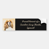 Cavalier King Charles Spaniel Original Painting Bumpersticker (Voorkant)