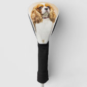 Cavalier King Charles Spaniel Original Painting Golfheadcover (Voorkant)