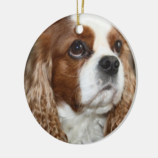 Cavalier King Charles Spaniel Ornament (Links)
