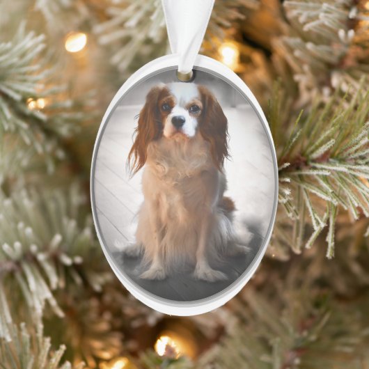 Cavalier King Charles Spaniel Ornament (Boom)