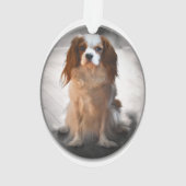 Cavalier King Charles Spaniel Ornament (achterkant)