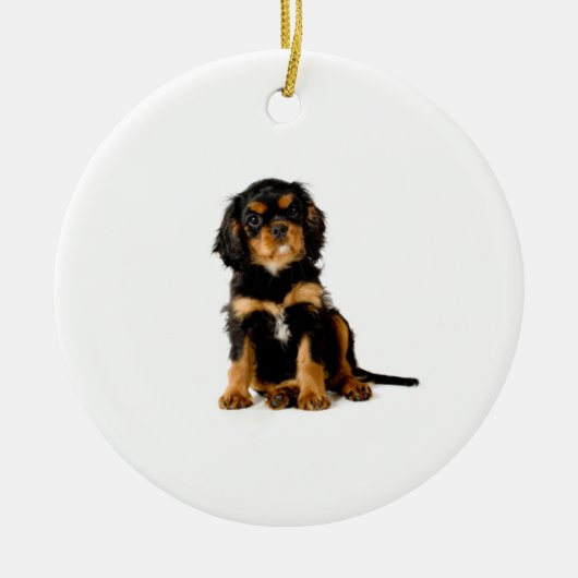 Cavalier King Charles Spaniel Ornament Black & Tan (Voorkant)