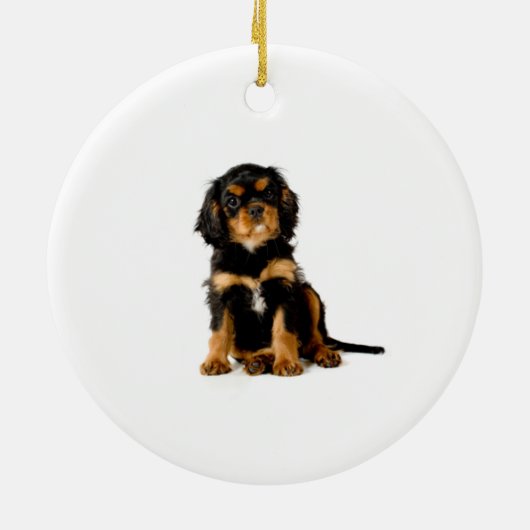 Cavalier King Charles Spaniel Ornament Black & Tan (Achterkant)
