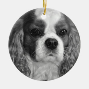 Cavalier King Charles Spaniel Ornaments Keramisch Ornament