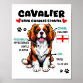 Cavalier King Charles Spaniel Owner Funny Dog Love Poster (Voorkant)