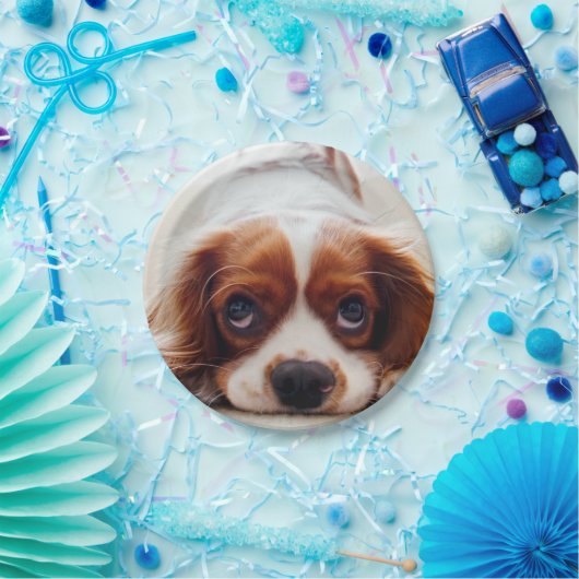 Cavalier King Charles Spaniel Papieren Bordje (Feest)