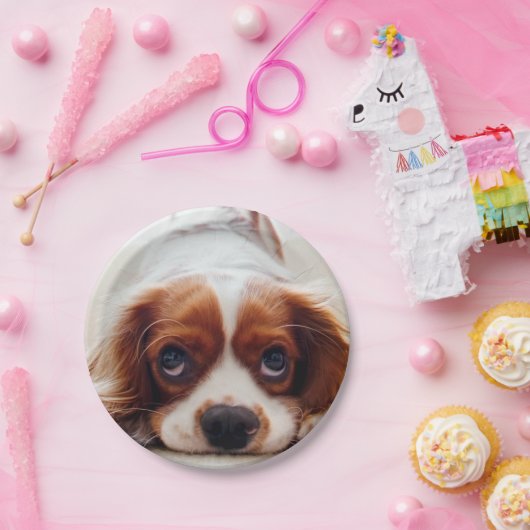 Cavalier King Charles Spaniel Papieren Bordje (Feest)