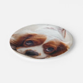 Cavalier King Charles Spaniel Papieren Bordje (Gekanteld)