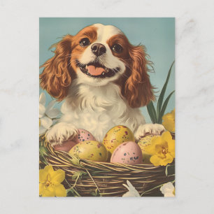 Cavalier King Charles Spaniel  Pasen Briefkaart