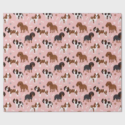Cavalier King Charles Spaniel Paws and Botten Wrap Cadeaupapier (Vlak)