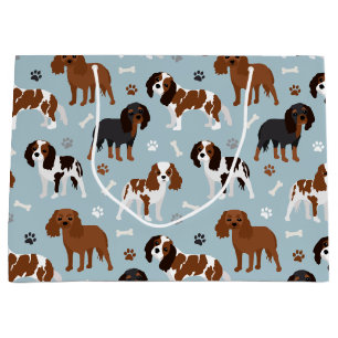 Cavalier King Charles Spaniel Paws en Botten Groot Cadeauzakje